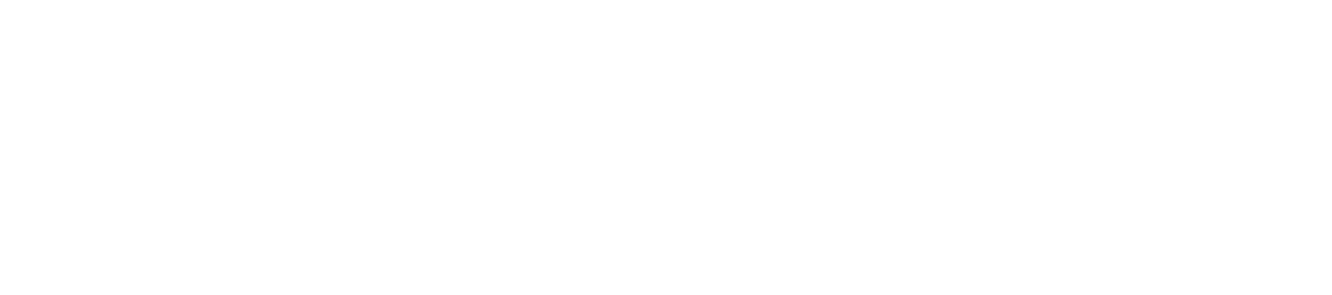 Logo DT groot